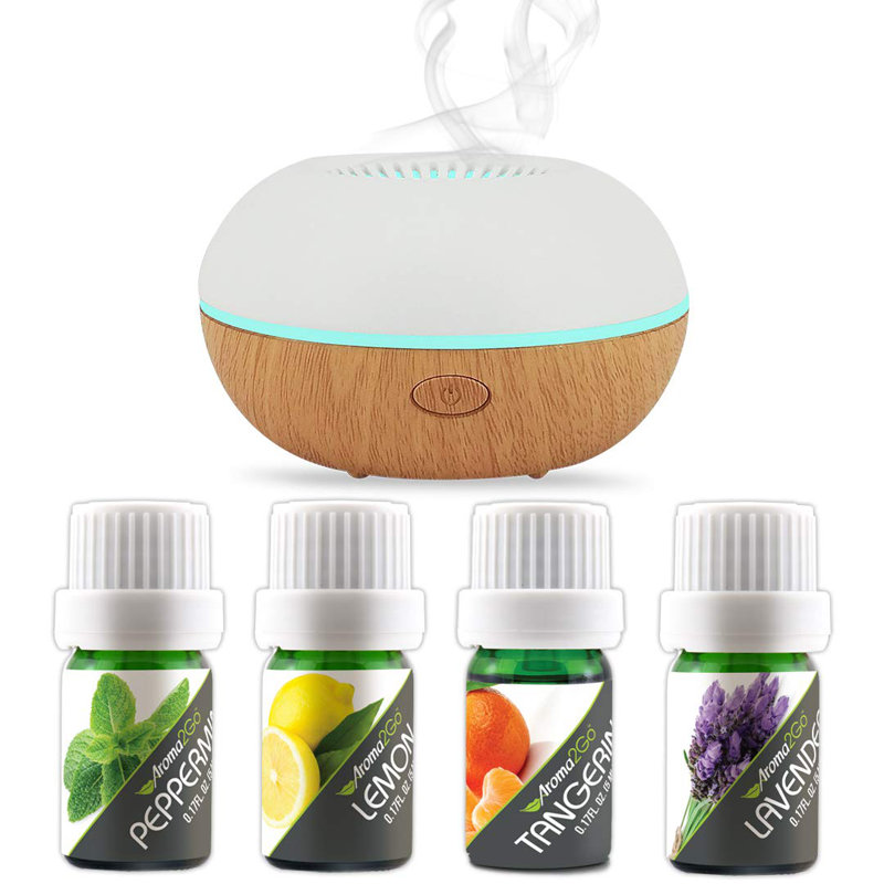 Aroma2Go 5 Piece USB Travel Essential Oil Fan Diffuser Set & Reviews